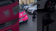 @vkino_real - названия доступны только подписчикам (подпишись и смотри лучшие фильмы и сериалы)