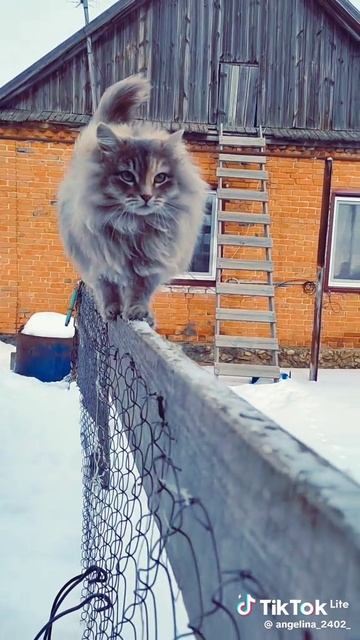Наверное в следующей жизни