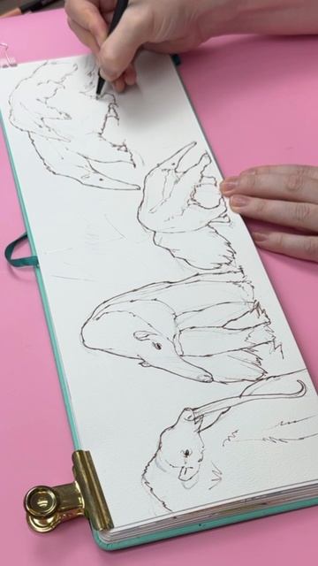 🐹 Курс «Акварельный зоопарк» в Dari Art прямо сейчас! 
Рисуем интересные скетчи акварелью.