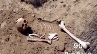 Азоби кабр чар байни чан руз гуштой одам нобут мешаван