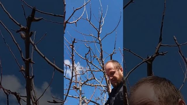 1000029763.mp4