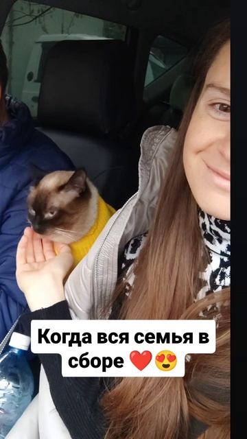 Когда вся семья в сборе ❤️😍