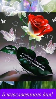 Доброе утро!