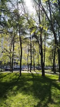в Москве