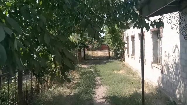 Медово яблочный спас.