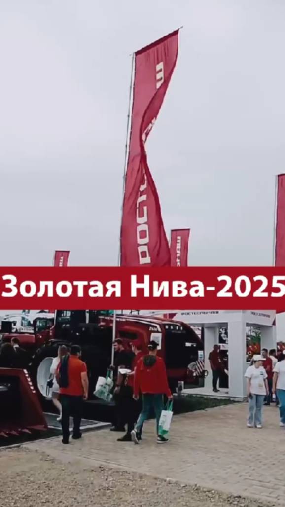 Золотая нива 2025