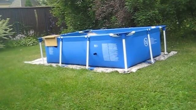 Шпиц Тим Тайлер.