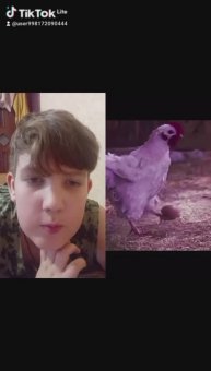 Что творит эта курица🤯🤯🤯