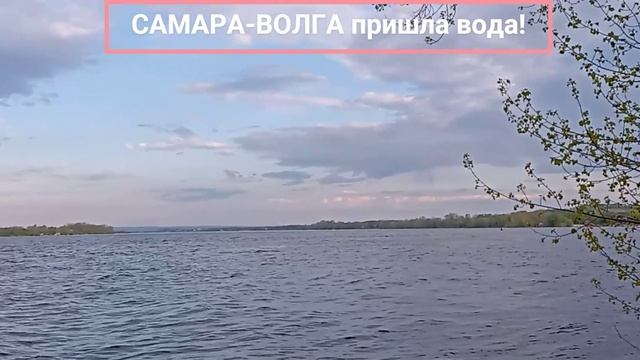 06.05.2025 САМАРА-ВОЛГА вода пришла!