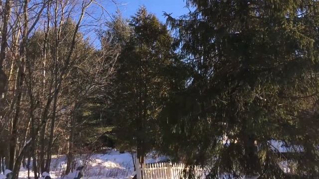 АХ СНЕГ СНЕЖОК!!!