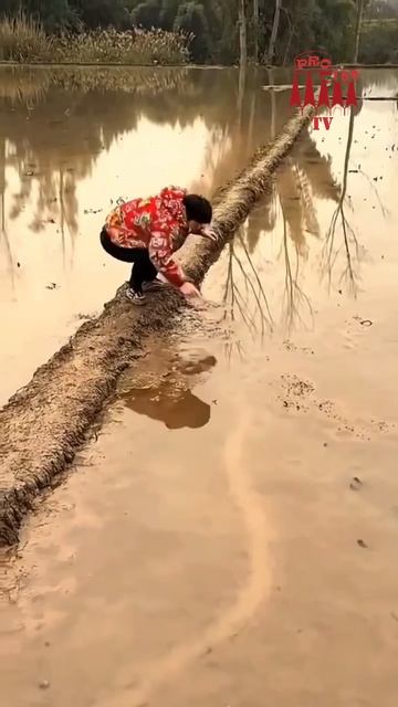 что то пошло не так