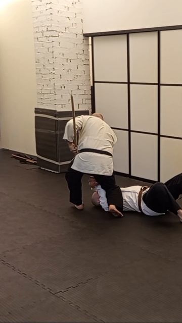#Синтэн #парнас #martialarts  #синтэн_рю #тянбарабой