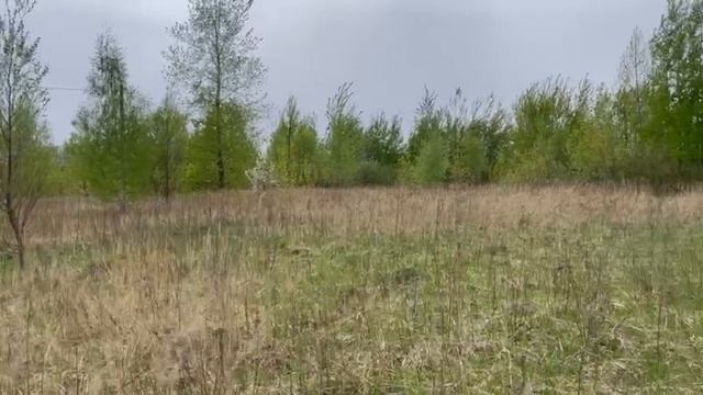 вблизи с Новлянское