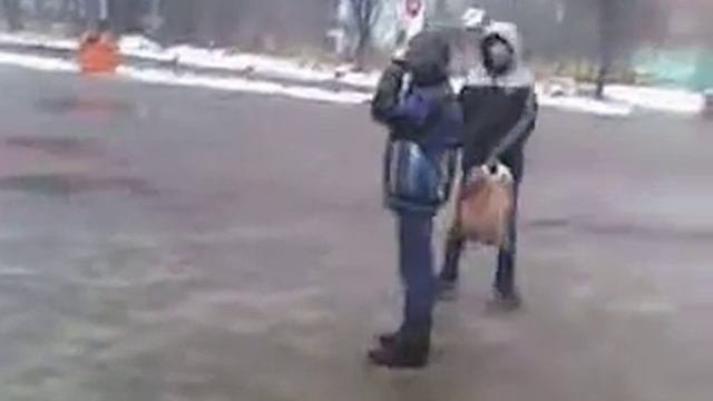 прикол  снежки