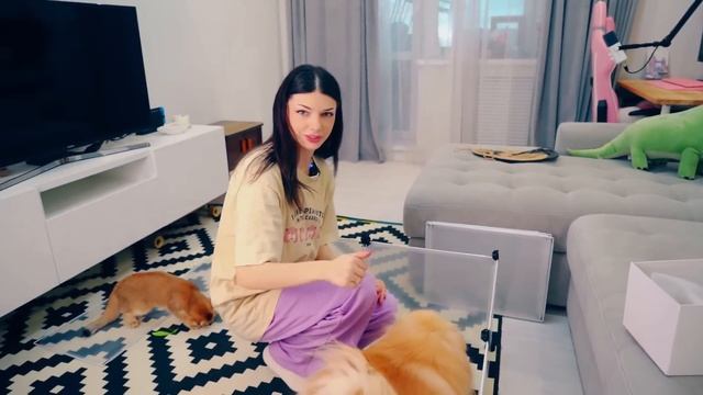 ПОБЕГ из ТЮРЬМЫ КЭТНАПА и ЯРНАБИ ЧЕЛЛЕНДЖ с КОТЕНКОМ! ?