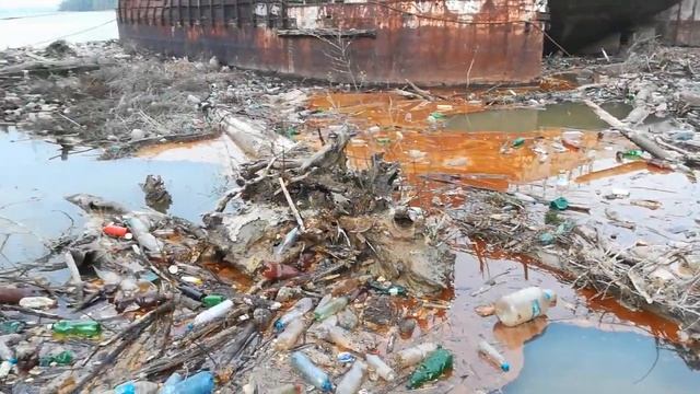 Може да си точиш гориво директно от Дунава