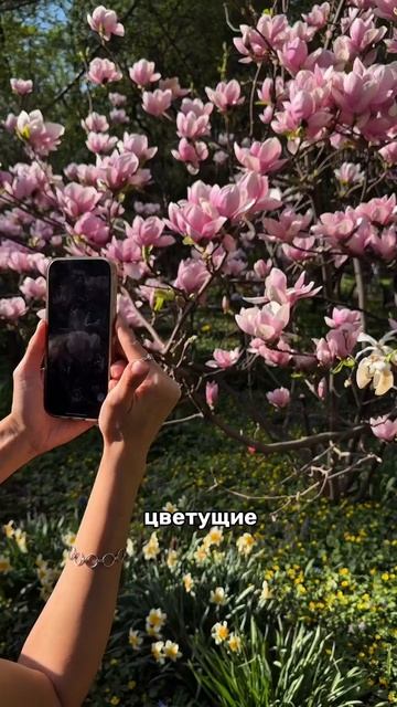 🚫 Избегайте этих ошибок при съемке в парке! 🌳✨
