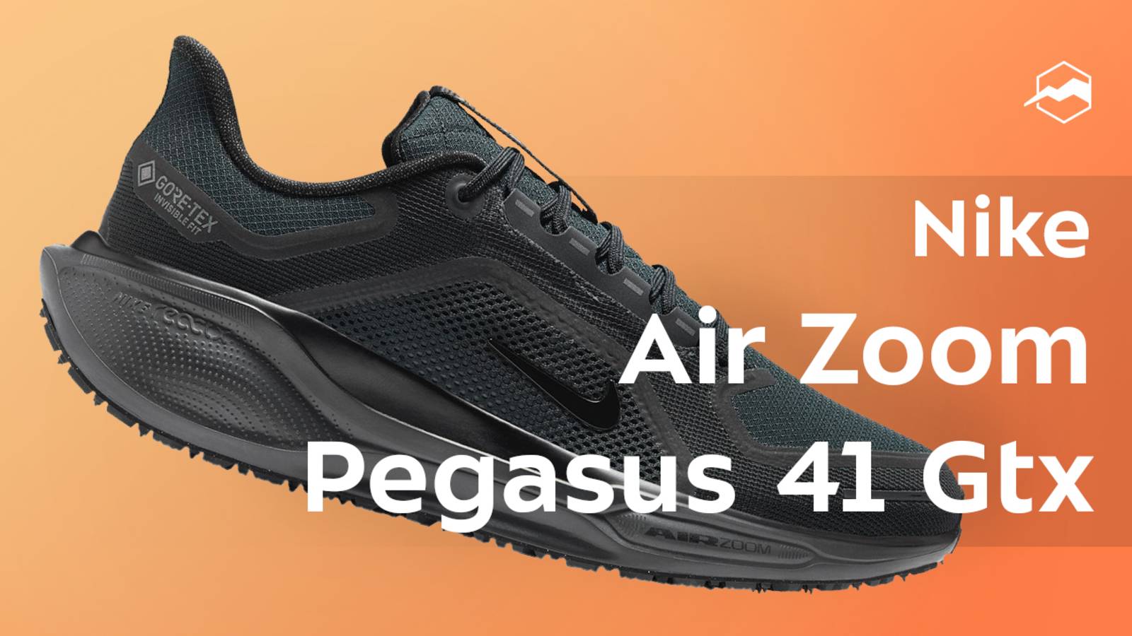 Кроссовки Nike Air Zoom Pegasus 41 Gtx