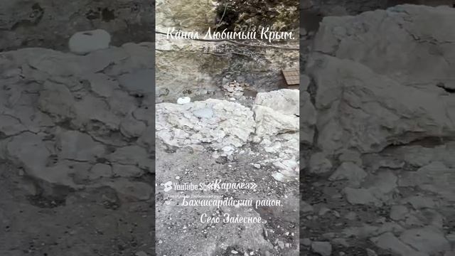 Кафе на берегу озера в Бахчисарайском районе.