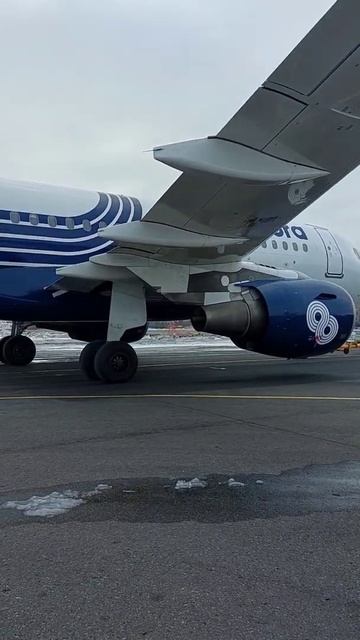 Airbus a319 Aurora в аэропорту Благовещенск