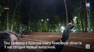 Летучие мыши – на свободе