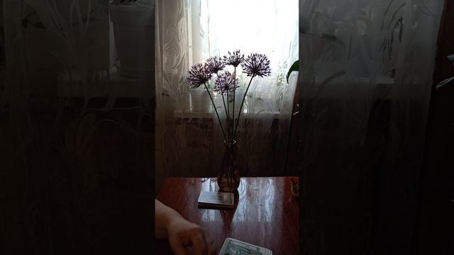Таро.Воздействие на вас.