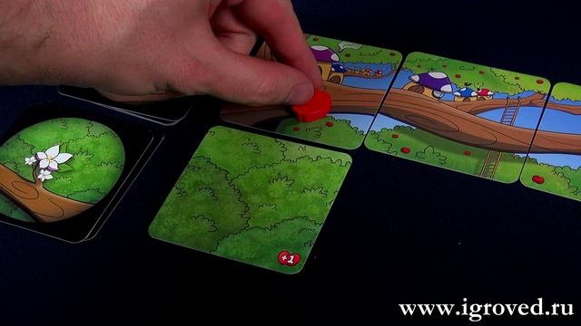 Охота за яблоками. Обзор настольной игры от компании Стиль Жизни