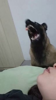 o8hEQALnb7qZNftqIcGAIuqHjrMAfC6ICvIGe8_online_video_cutter_com