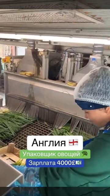 ТОП-5 причин работать в Англии прямо сейчас 🌍- 2