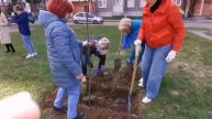 Посадка аллеи мира и единства