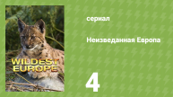 Неизведанная Европа 4 серия «Леса и рощи» (документальный сериал, 2016)