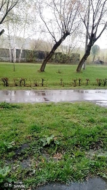 Дождик