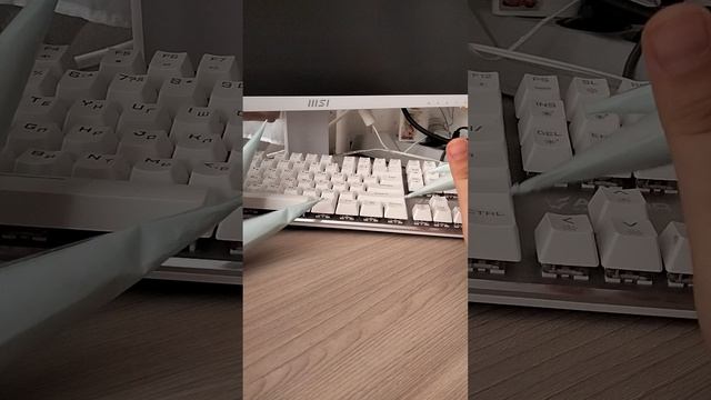 1000024526.mp4
