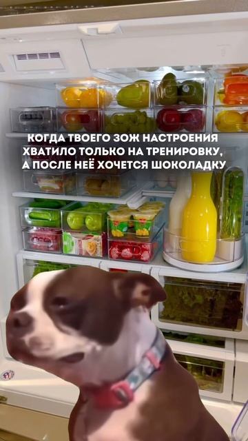 Готовим пп-дубайский шоколад — подробнее в комментариях