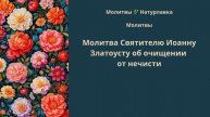 Молитва Святителю Иоанну Златоусту об очищении от нечисти.