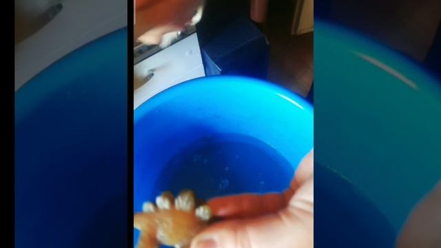 полтора года в земле !?