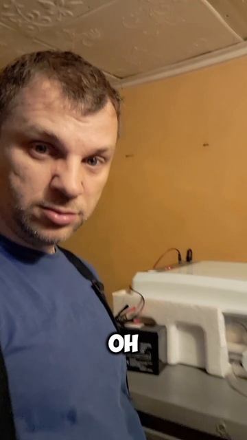 Инкубация яиц по феншую