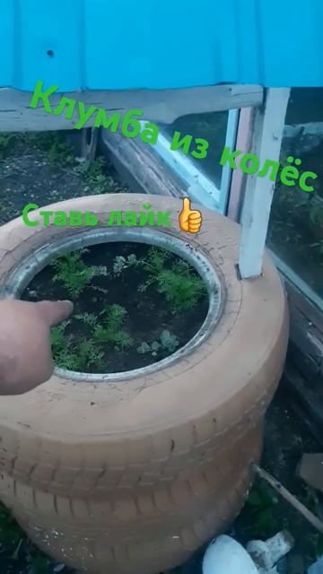 колодец,клумба👍