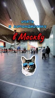 Очередная командировка в Москву на майские праздники. #телемедицина