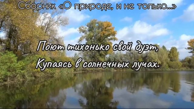 МИР ПОПОЛАМ