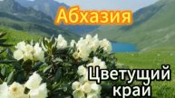 Абхазия! Цветущий край!