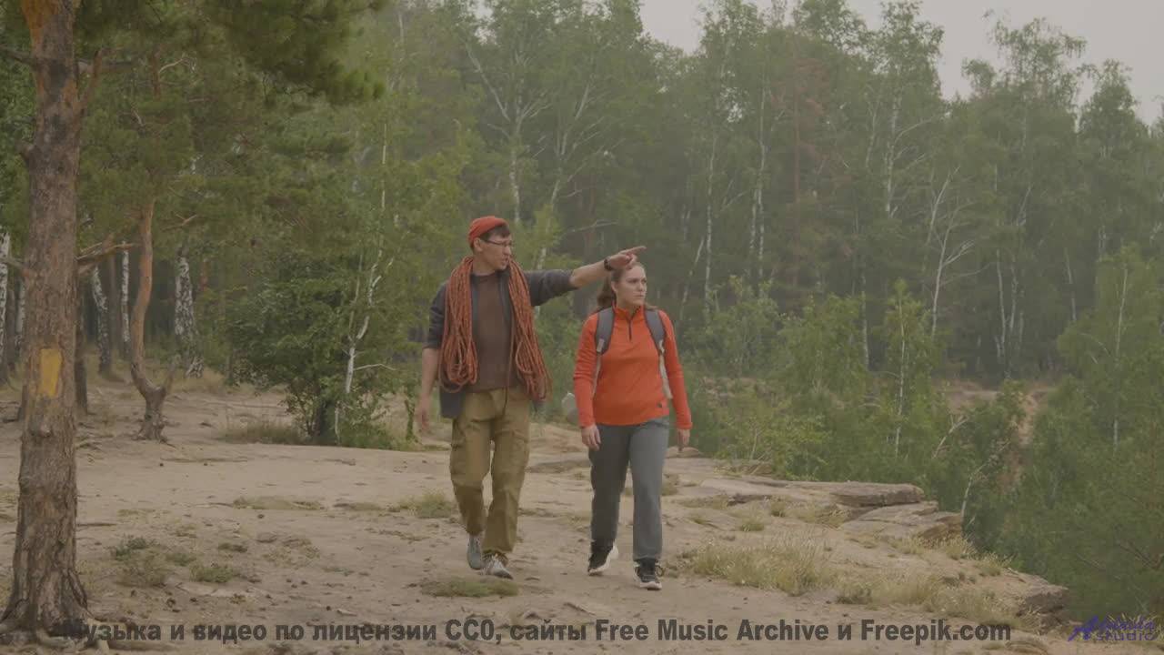 Кадры природы, обработанные квантовым компьютером - реальность или фантастика - Tussle -- Ketsa -- M