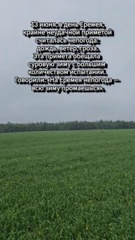 Народные приметы! #лес #природа #славянскиеприметы #гр?