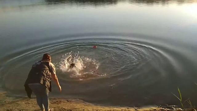 Первое знакомство с водой у Жанны😅 Папа может, папа может все что угодно

 Janna first time by the