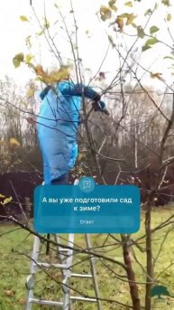 Подготовка сада к зиме. Обрезка плодовых деревьев.