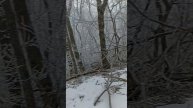 Прогулка по зимнему Бештау