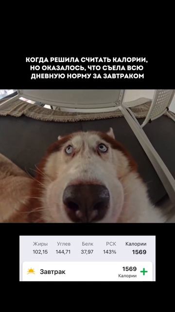 Вкусное блюдо для завтрака и  без вреда для фигуры — уже ждёт тебя в комментариях