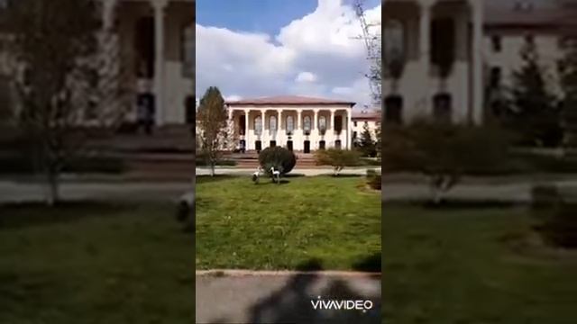 Тошкент давлат Транспорт унверситети обзор