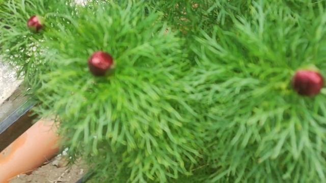 VLOG свалил сильнейший вирус всю семью, но дела никто не отменял.