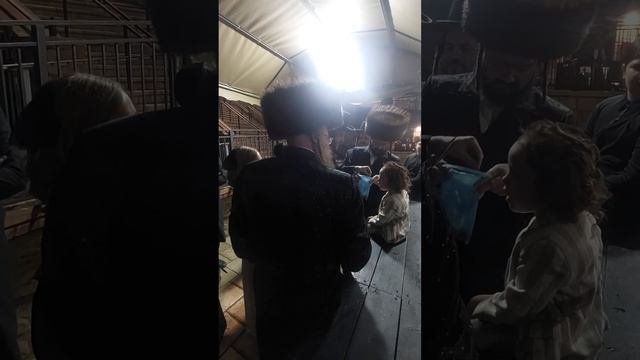 обряд халаке ( обрезание волос мальчикам в три года) на горе Мирон
